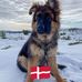 Børge Andersen - Facebook
