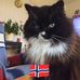 Børge Andersen - Facebook