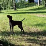 Børge Jensen - @borgejens1 - Instagram