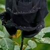 md, Borhan sikdar - @mdbojrhan8355 - TikTok