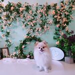 악동 보리의 일상♡ - @bori_park_ - Instagram