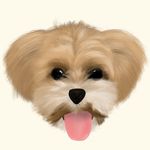 @bori_.park - Instagram