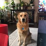 bori park - @boriborks - Instagram