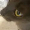 Bori Toth - @bori.toth4 - TikTok
