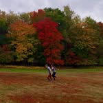 Bori Toth - @btothhun - Instagram