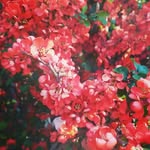 Janka Bori Tóth - @jankabori - Instagram