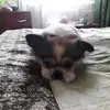 @milashka_dzhonnik - @kabayev.boris - TikTok