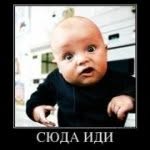 Boris Abramov - @borisabramov1 - Instagram