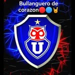 Boris Alexis Oyarzo Mansilla - @borisalexisoyarzomansilla - Instagram