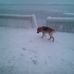Boris Andreevich - Facebook