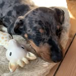 Boris and Betty Armstrong - @borisandbettyarmstrong - Instagram