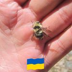 Boris Aronshtam - @borisaronshtam - Instagram