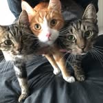 Boris Bailey & Jasper - @borisbaileyjasper - Instagram