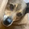 boris chen - @boris.chen7 - TikTok