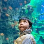 Boris Chen - @borischen - Instagram