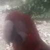 boriscornejosalin - @boriscornejosalin - TikTok