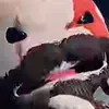 Jacob.Boris - @jacob.boris4 - TikTok