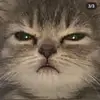 Boris Kaplan675 - @xxxiv.b.kaplan - TikTok