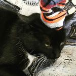Boriskatze - @boriskatze - Instagram