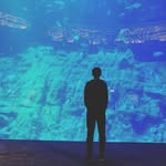 Boris Lau - @bo919818 - Instagram