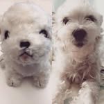 Boris Lau - @boris_lau_ - Instagram