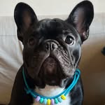 Boris - @borislindao_ - Instagram
