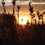 Boris Lipták - @borisliptak - Instagram