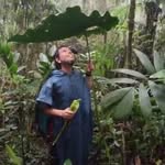 Boris Villanueva Tamayo - @borislibre - Instagram