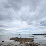 Boris Lozano - @neuf_chats - Instagram