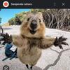 Boris radic - @borkeradic - TikTok