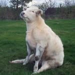 Boris Rosenberg - @boris.rosenberg.1401 - Instagram