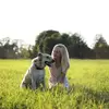 borisschultz - @borisschultz4 - TikTok
