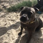 Boris Taylor - @boris_the_boss_taylor - Instagram