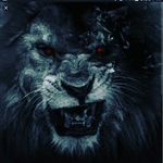 Boris Taylor - @ffl_boris - Instagram