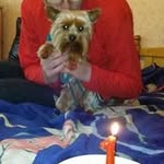 Borislav Georgiev - @borislav.georgiev.1441 - Instagram