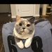 Borui Wang - Facebook