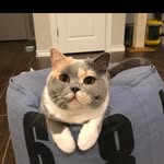 Borui Wang - @brwang2008 - Instagram