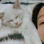 _BOWIE CHEUNG__ - @poyiicc - Instagram