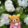 Bowie Cheung367 - @31581468569 - TikTok