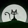 Bowie Cheung - @2150626281 - TikTok