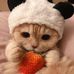 Bowie Cheung - Facebook