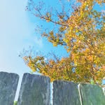 Boya Xiong - @xiongboya - Instagram