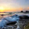 Boyd Adams - @michelle.0369 - TikTok