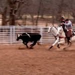 Boyd King - @boydking2316 - Instagram