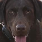 Brad Abernathy - @brad.abernathy50 - Instagram