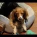 Brad Alberts - Facebook