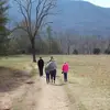 bradyaltman4 - @brady.altman8 - TikTok