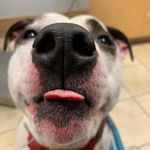 Bradley Ayers - @brad_ayers - Instagram