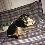Brad Barnhart - @weirdo_812 - Instagram