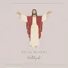 bearbearbrad - @bearbearbrad - TikTok